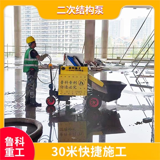 細(xì)石二次結(jié)構(gòu)柱泵 細(xì)石二次結(jié)構(gòu)柱泵