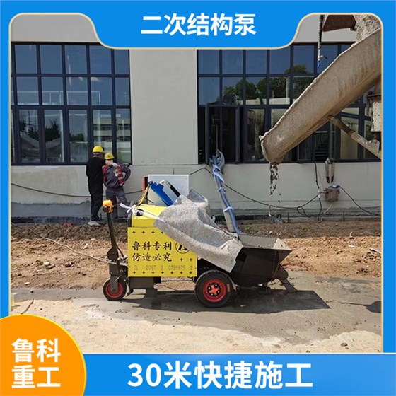 微型立式二次結(jié)構(gòu)泵 微型立式二次結(jié)構(gòu)泵