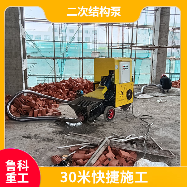 電動二次結(jié)構(gòu)輸送泵